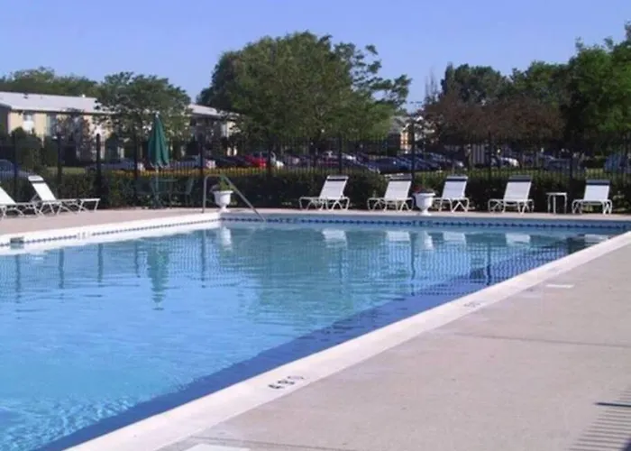 Lg. 2 Bedroom Apt. North Of Chicago W/ Free Parking * Des Plaines
